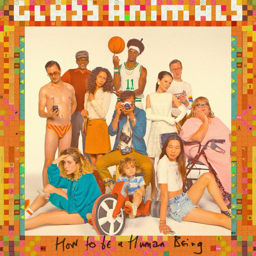 glass-animals-how-to