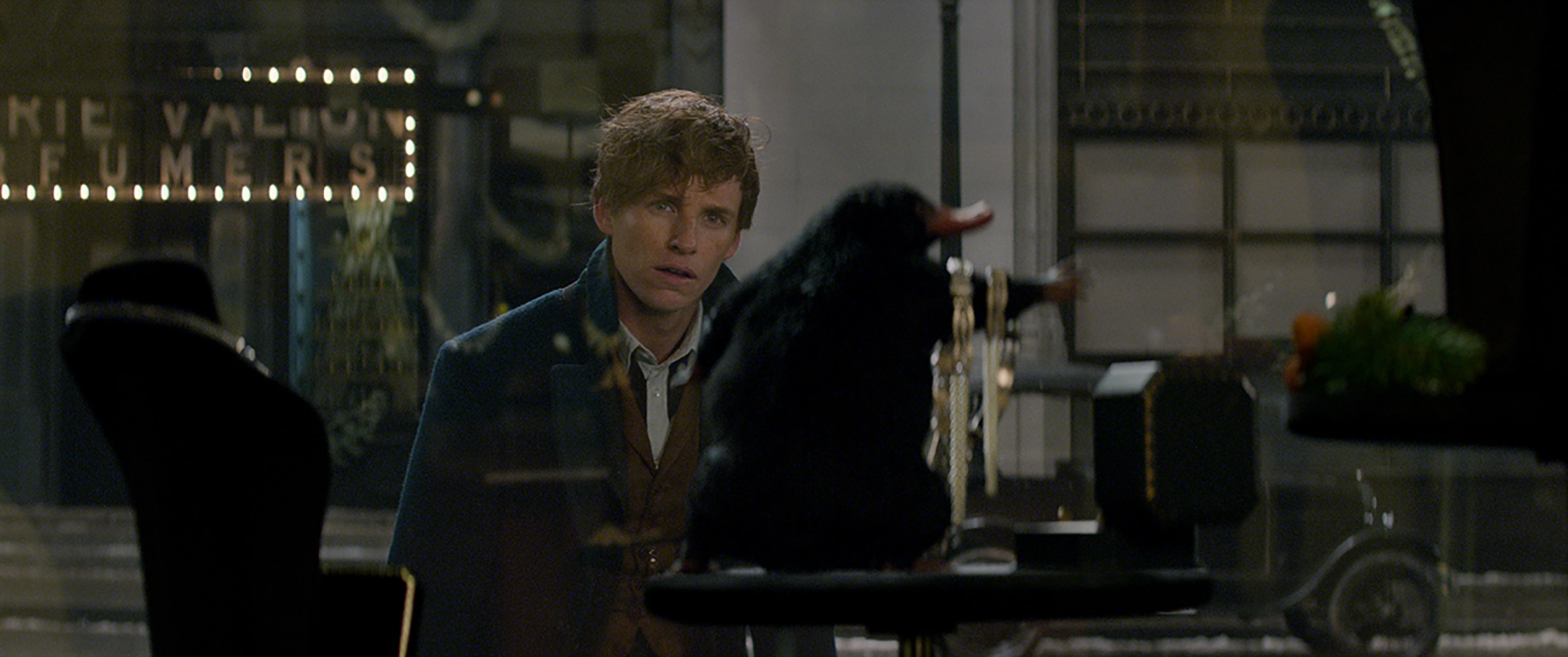 FANTASTIC BEASTS AND WHERE TO FIND THEM