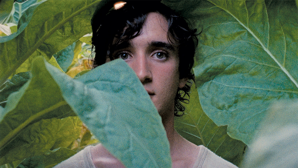 happy-as-lazzaro-cannes