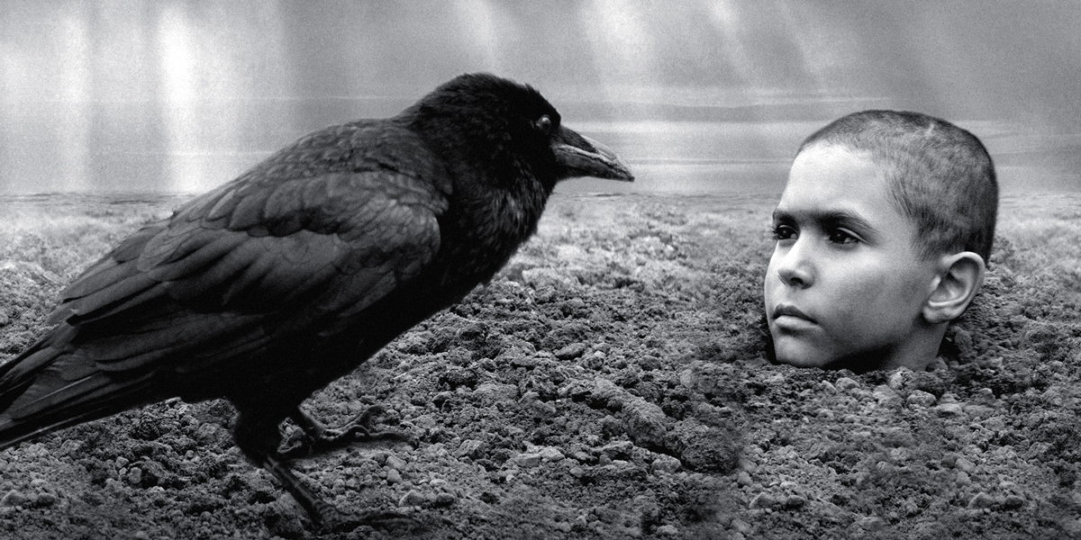 ThePaintedBird_1200x600_v1